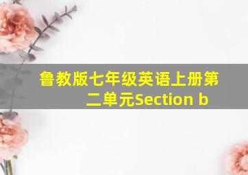 鲁教版七年级英语上册第二单元Section b